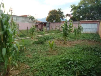 Casa para venda em Mirante de Serra