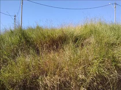 Terreno para venda em Bela Vista