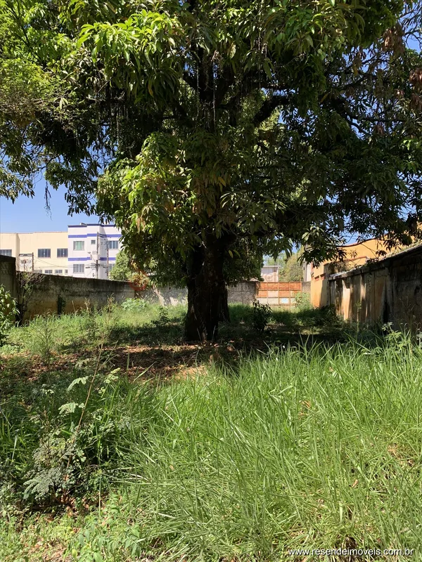 Foto 7 de 14 - Loja para venda em Manejo