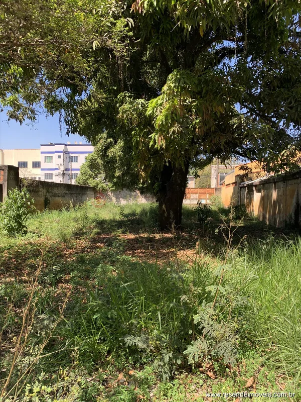 Foto 9 de 14 - Loja para venda em Manejo