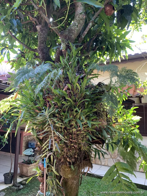 Foto 40 de 42 - Casa para venda em Morada da Colina