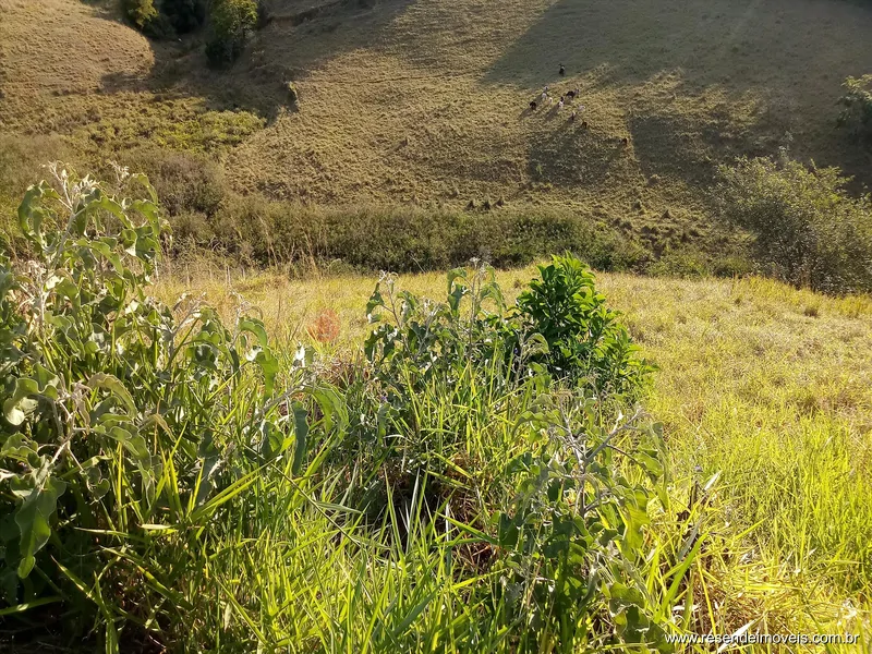 Foto 3 de 4 - Terreno para venda em Morada da Colina