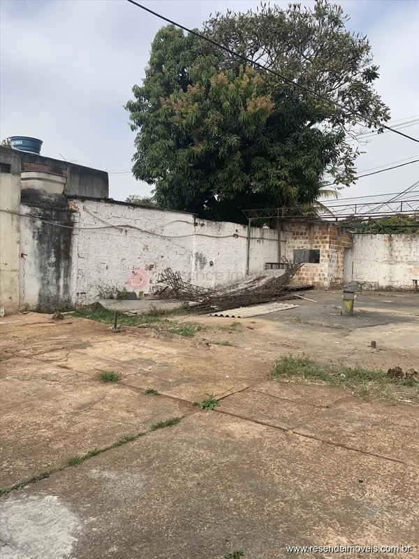 Foto 23 de 24 - Casa para aluguel em Nova Liberdade