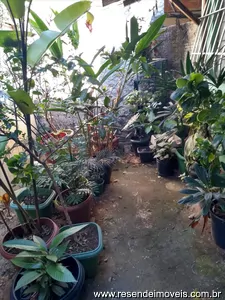 Casa para venda em Cabral