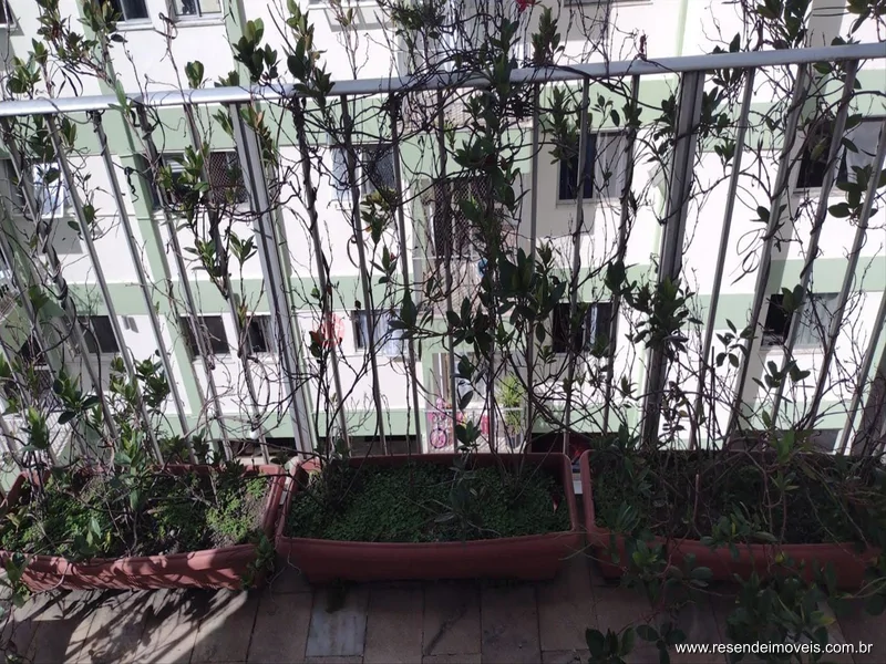 Foto 33 de 34 - Cobertura para aluguel em Santa Isabel