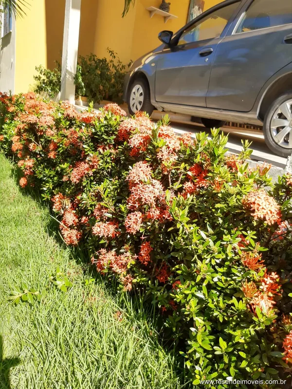 Foto 1 de 53 - Casa para venda em Morada da Colina