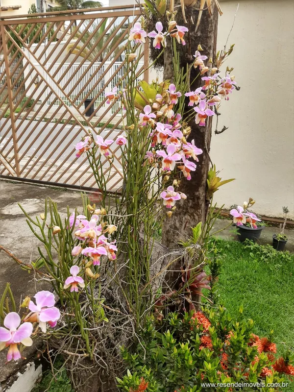 Foto 10 de 53 - Casa para venda em Morada da Colina