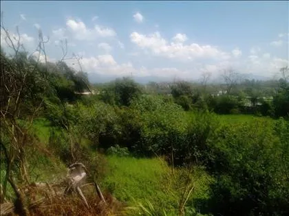 Terreno para venda em Vila Santa Cecília