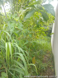 Terreno para venda em Morada da Colina