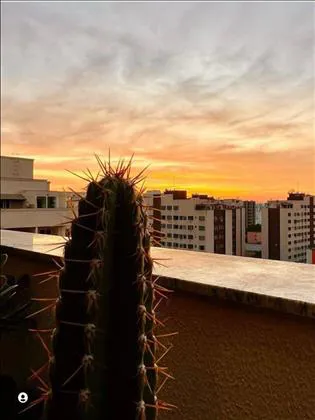 Cobertura para venda em Jardim Jalisco
