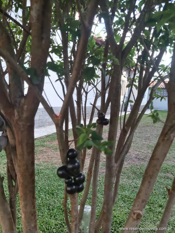 Foto 15 de 40 - Casa para venda em Parque Ipiranga