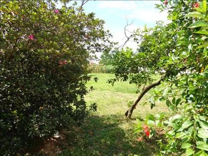 Terreno para venda em Alegria