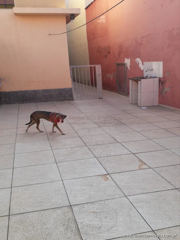 Foto 14 de 29 - Casa para venda em Liberdade